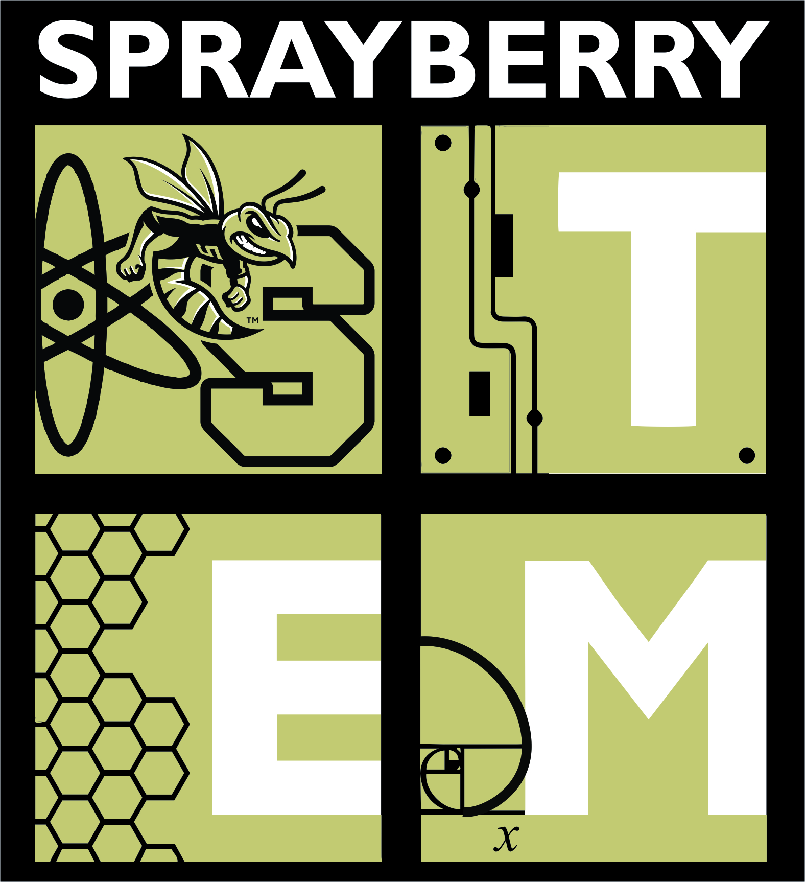 STEM Academy