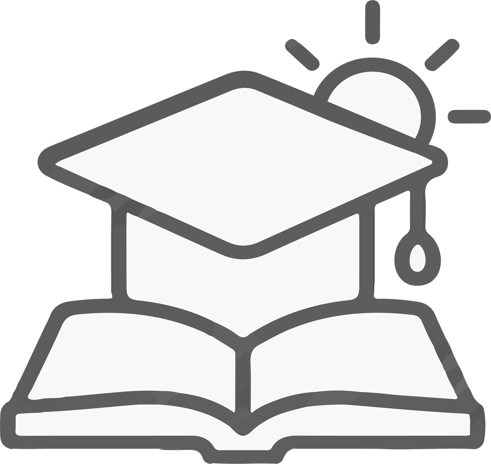 Summer Academy