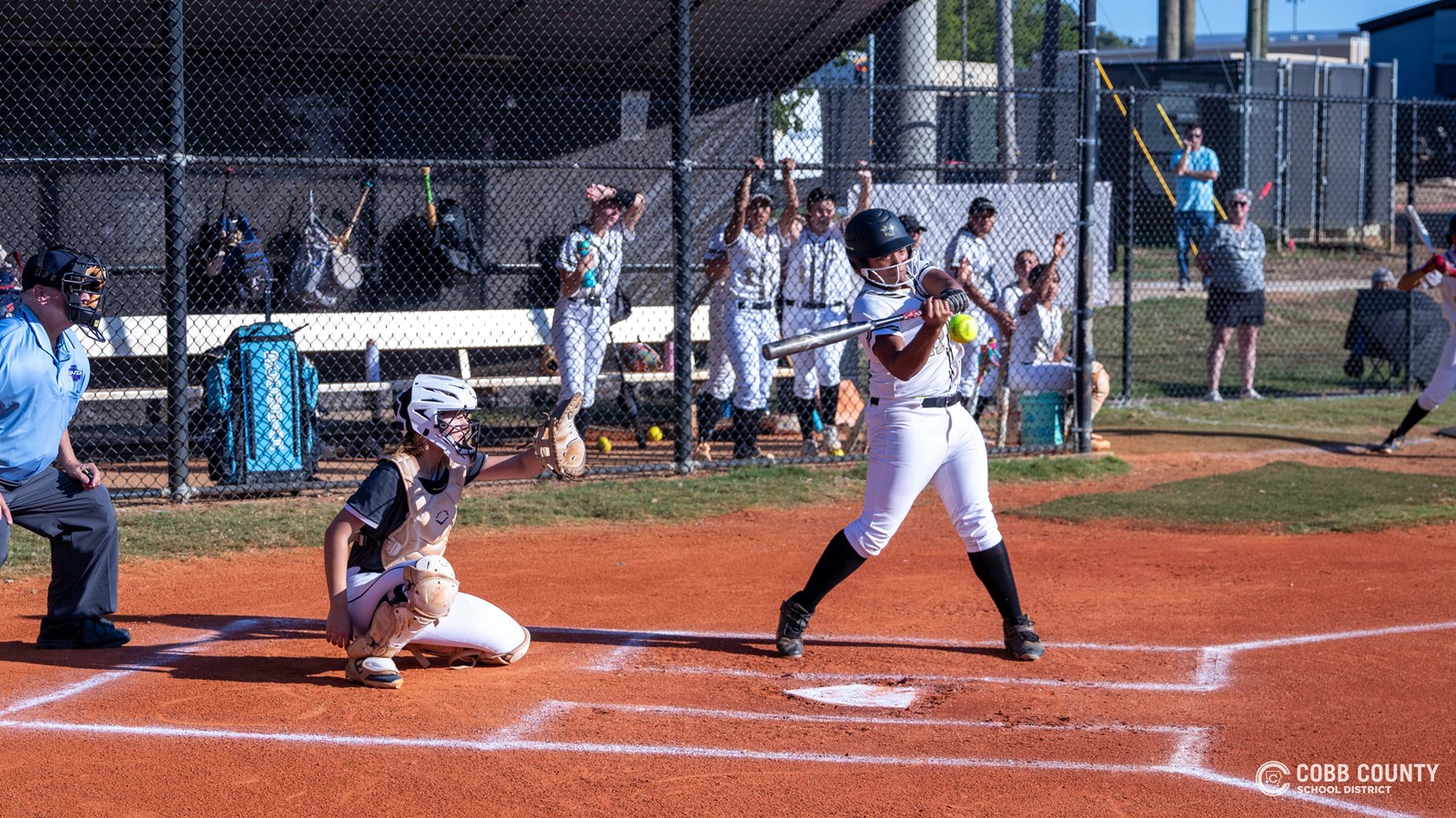 Spartans v Yellow Jackets Fast Pitch
