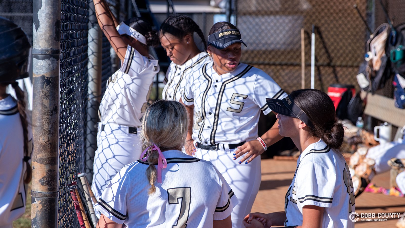 Spartans v Yellow Jackets Fast Pitch
