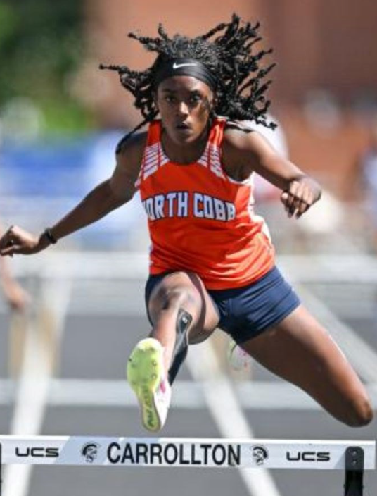 JR-hurdle.png