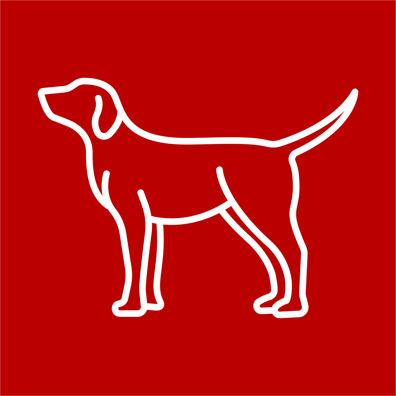 K9 Icon