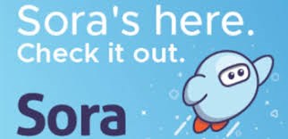 Sora.jpg
