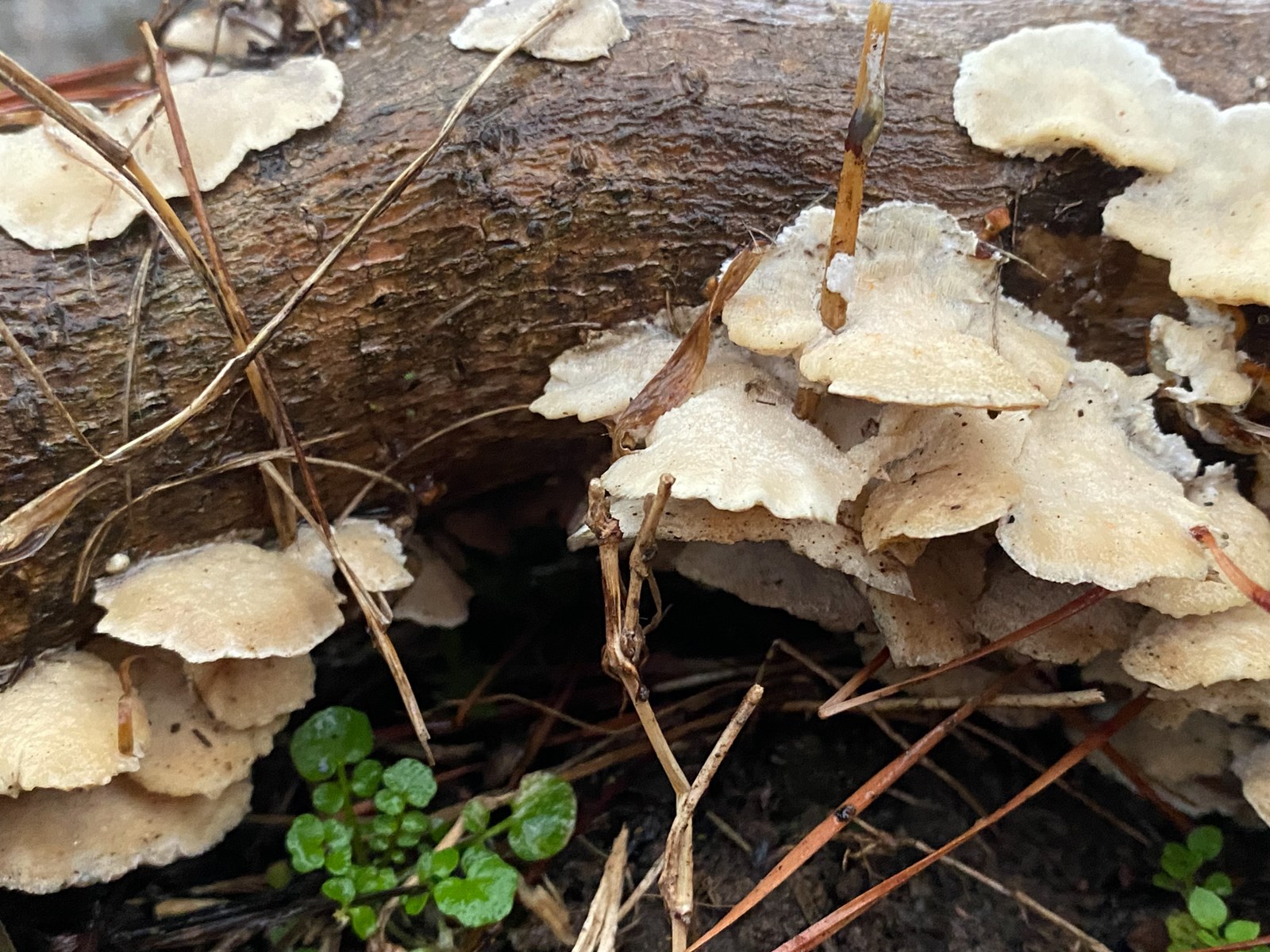 Cobb Water Photography Contest Winner