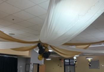 ball3.d9e7c7129070.png