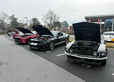 Cardinal Frenzy Fiesta 2026