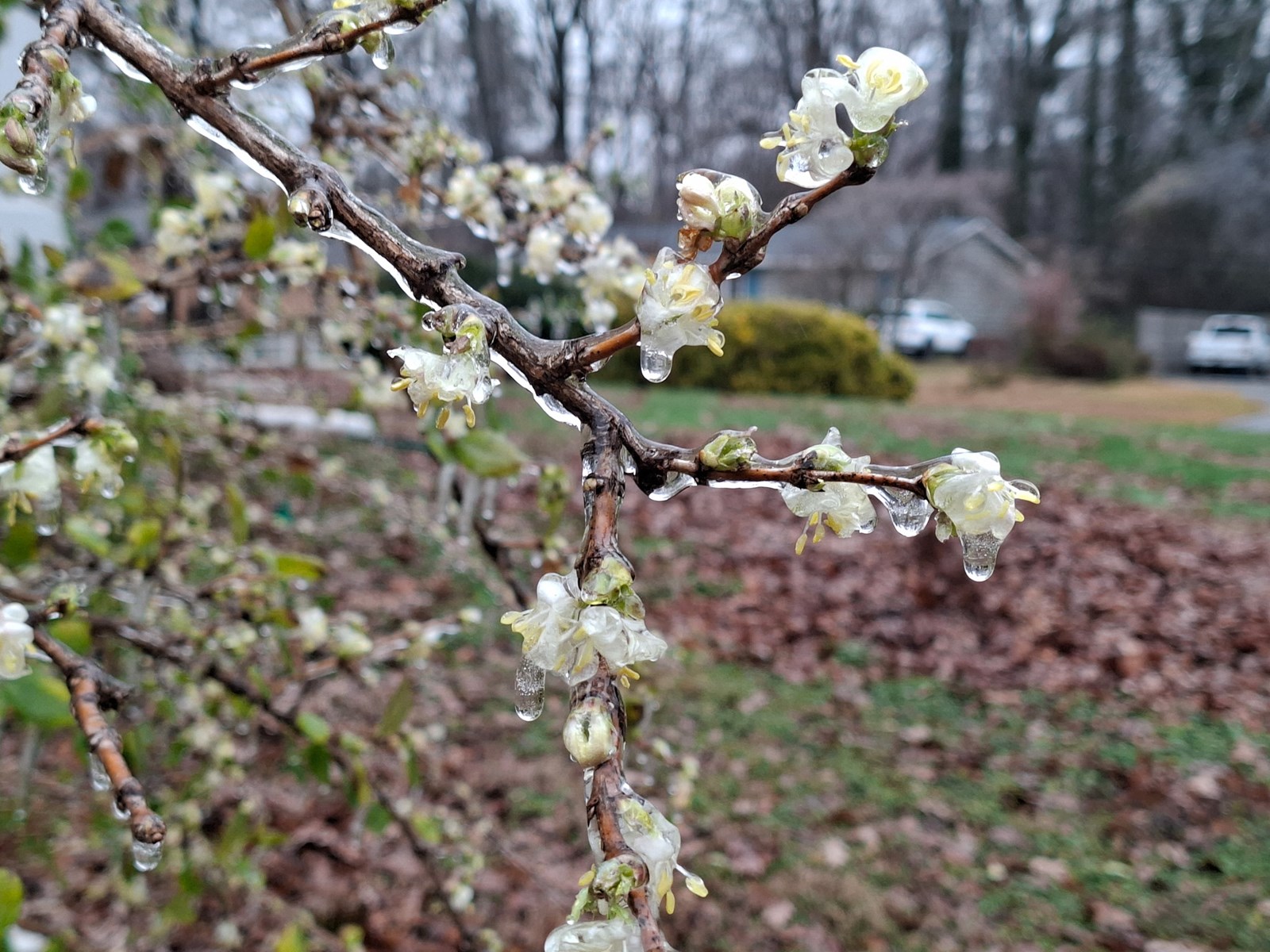 Cobb Water Photography Contest Winner