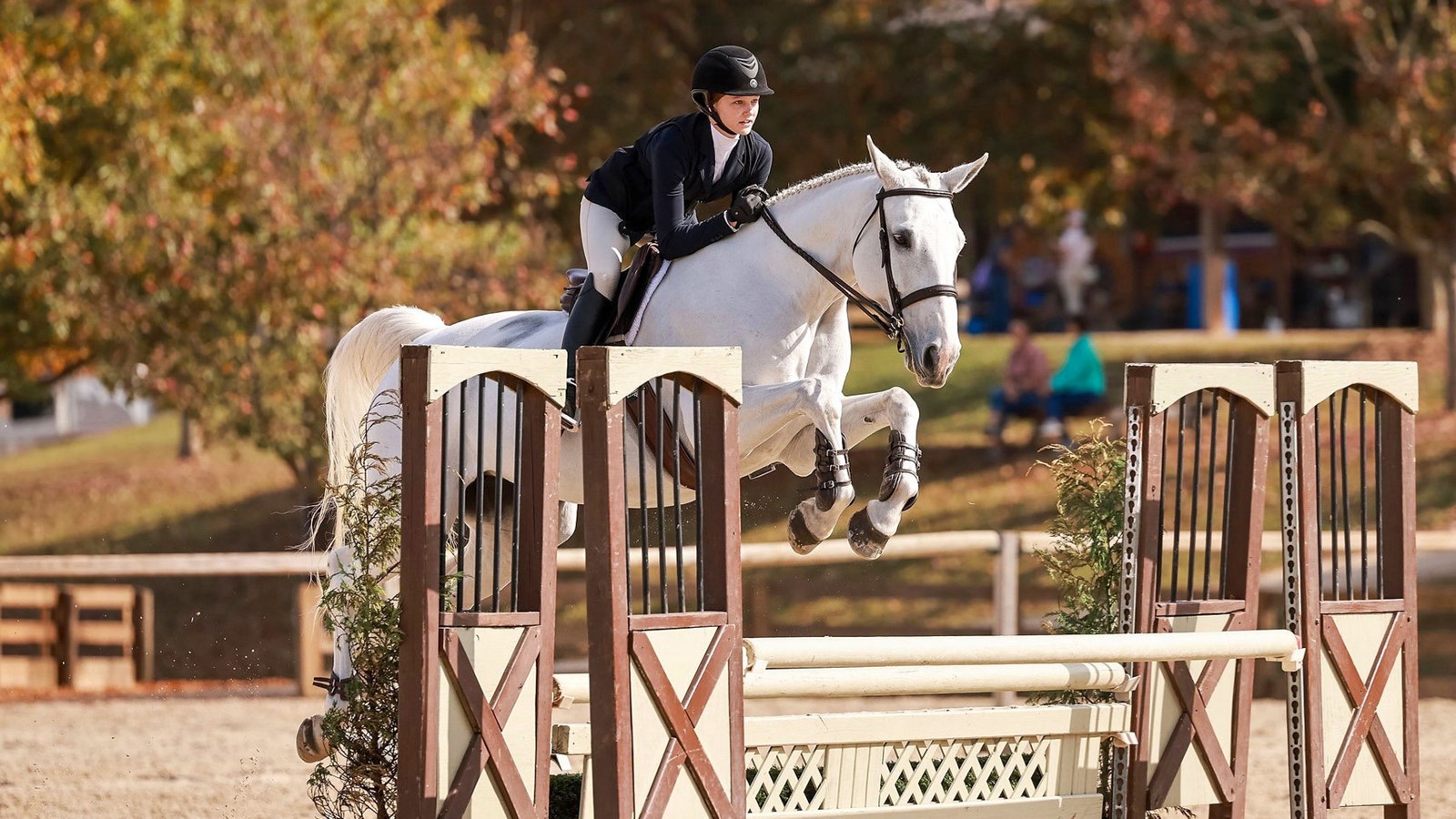 Anna and her mount rise above a fence in competition