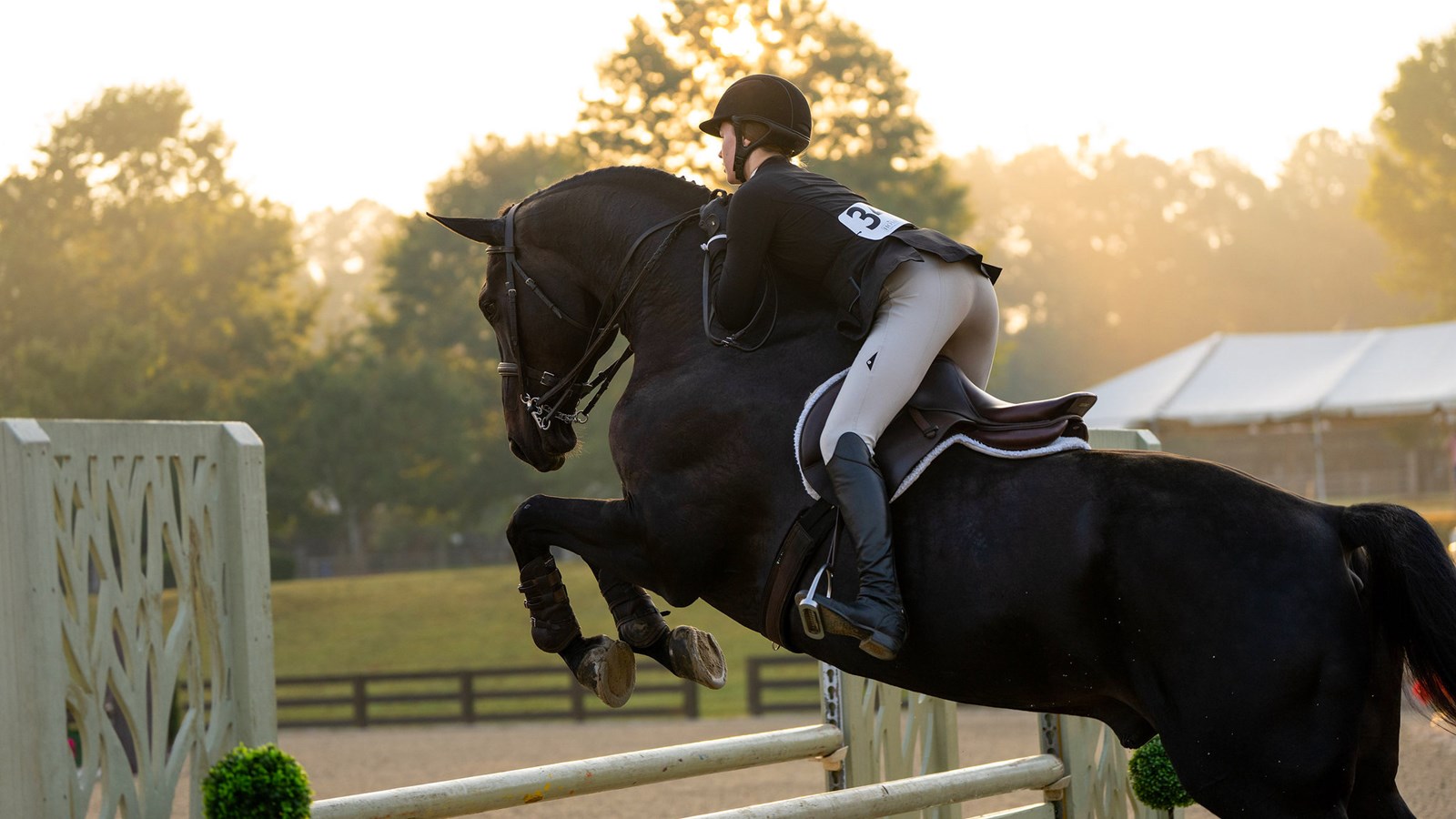 Anna rides in competition in the morning light