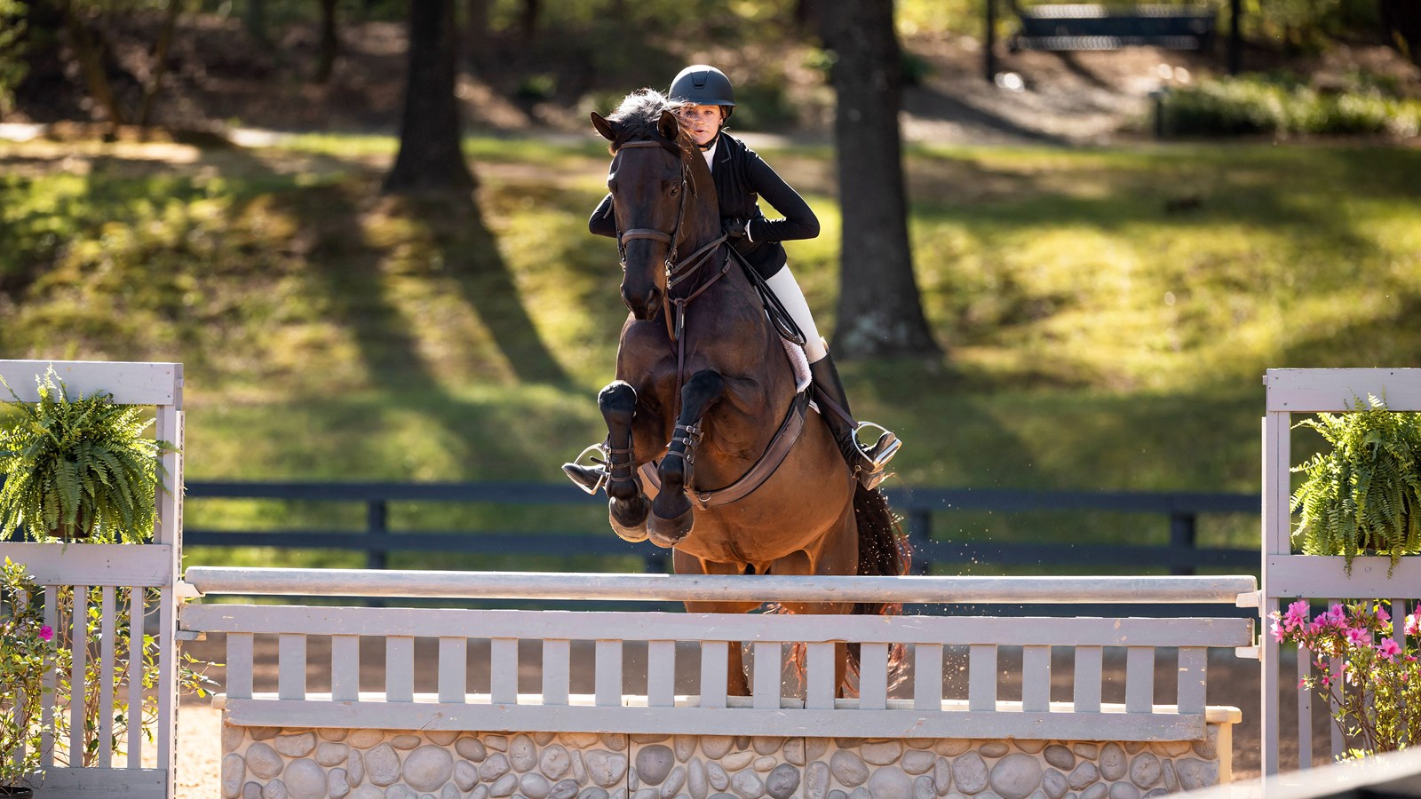 Anna in the saddle during competition