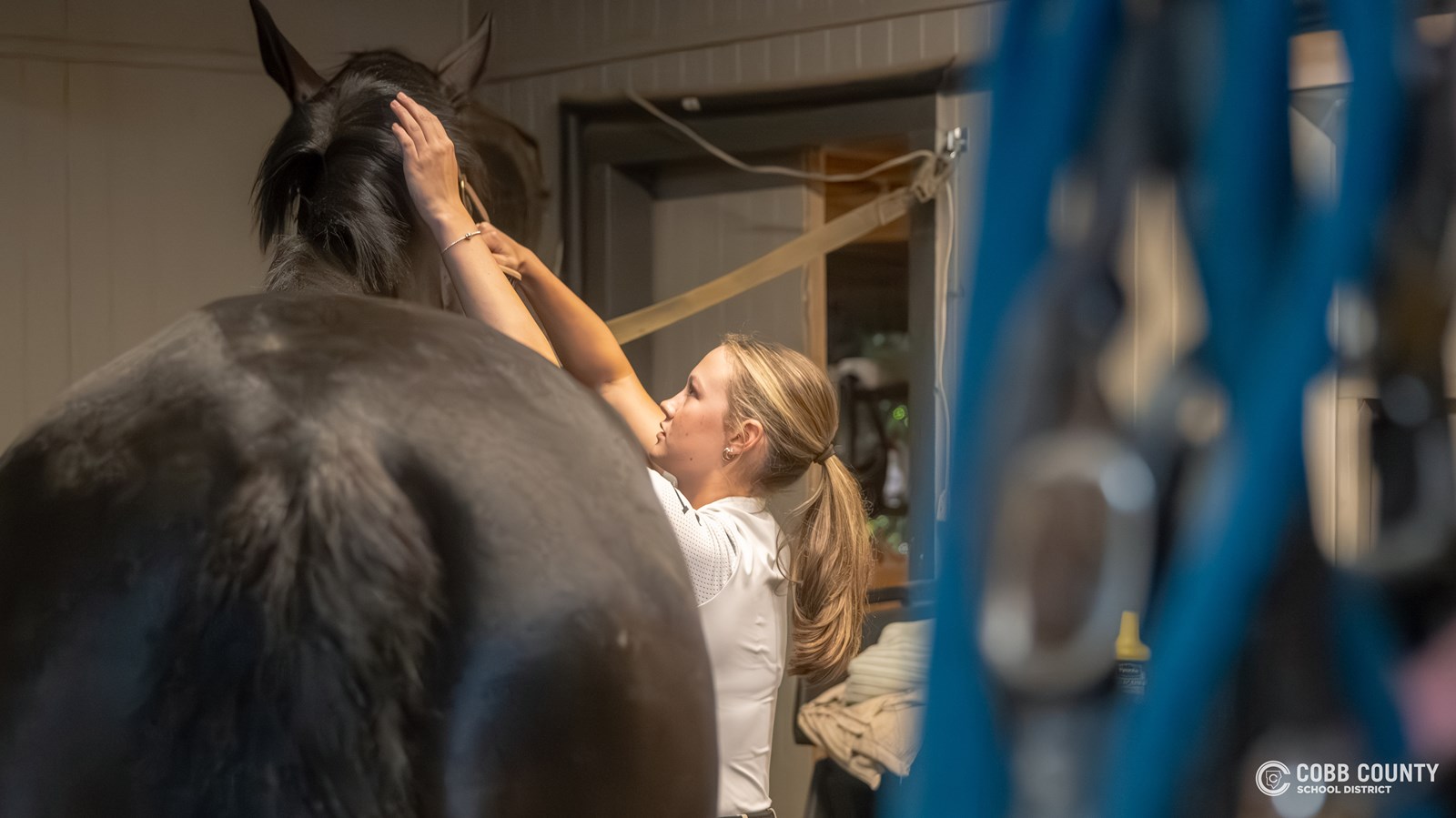 Anna comforts Boo as she readies the bit