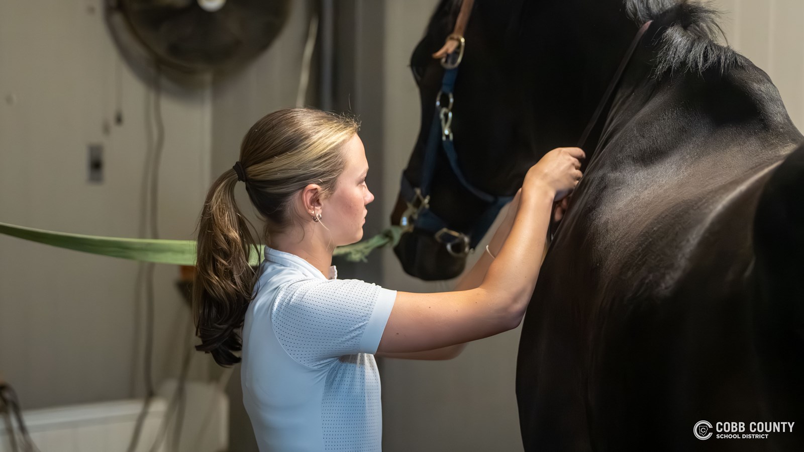 Anna prepares Boo for a training session