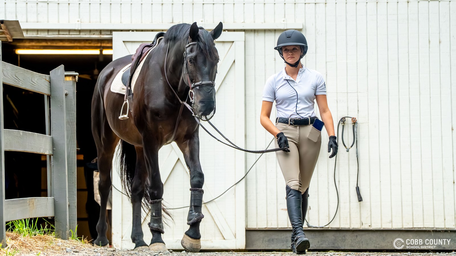 Anna walks Boo to the training ring