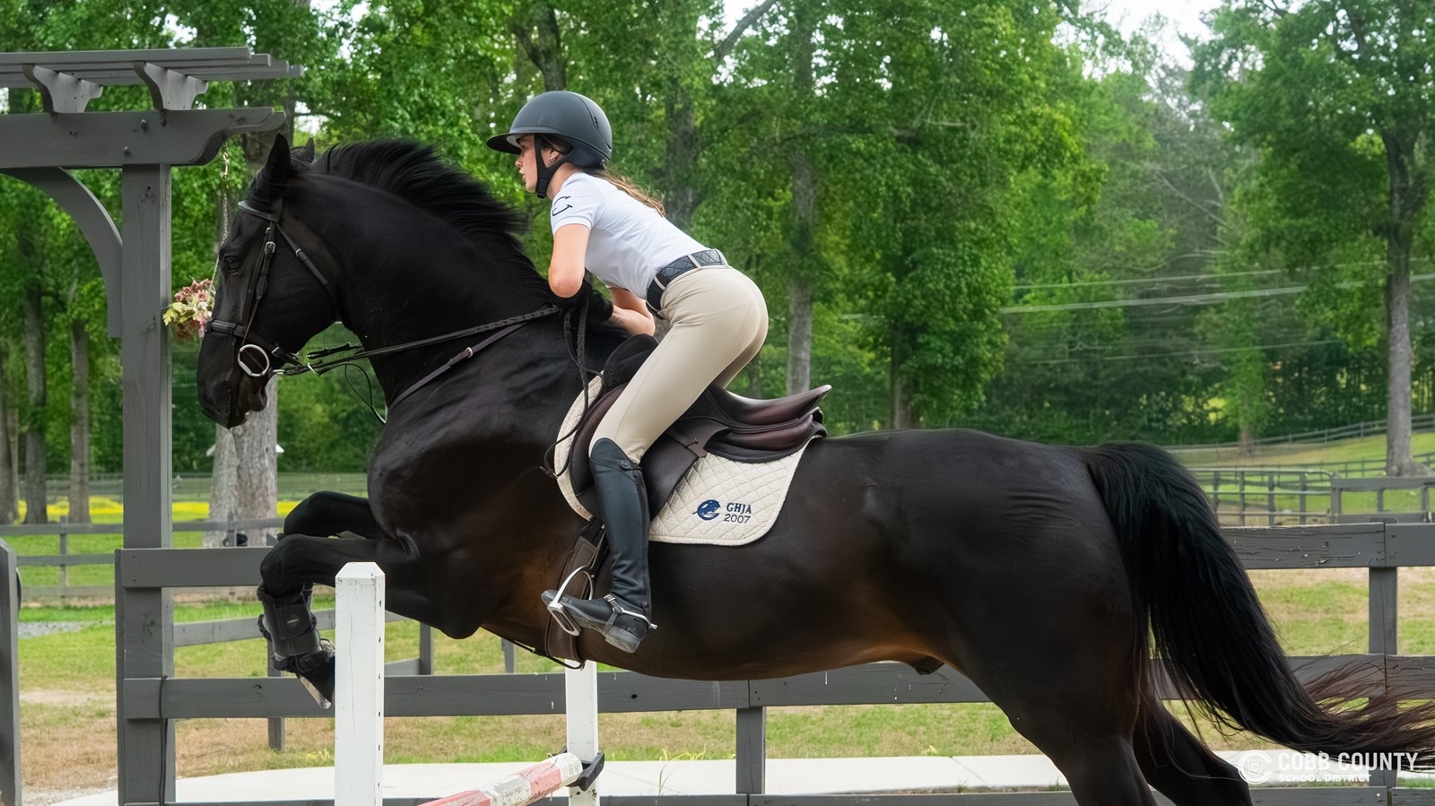 Anna and Boo approach the fence