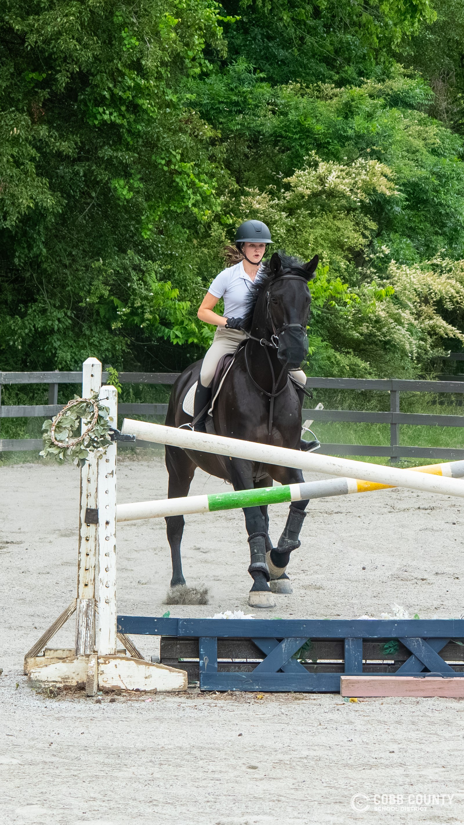 Anna and Boo approach