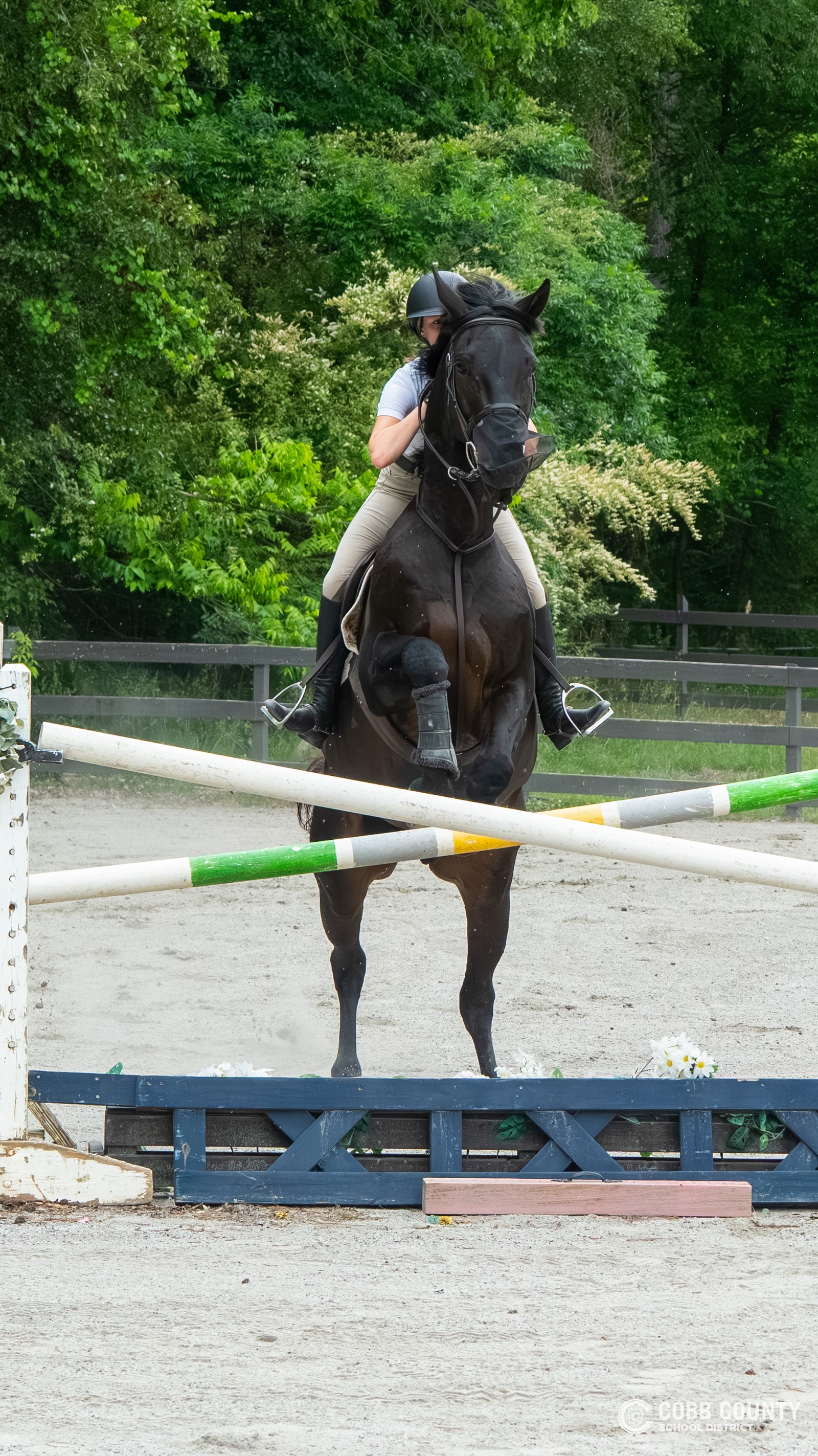 Anna and Boo leap