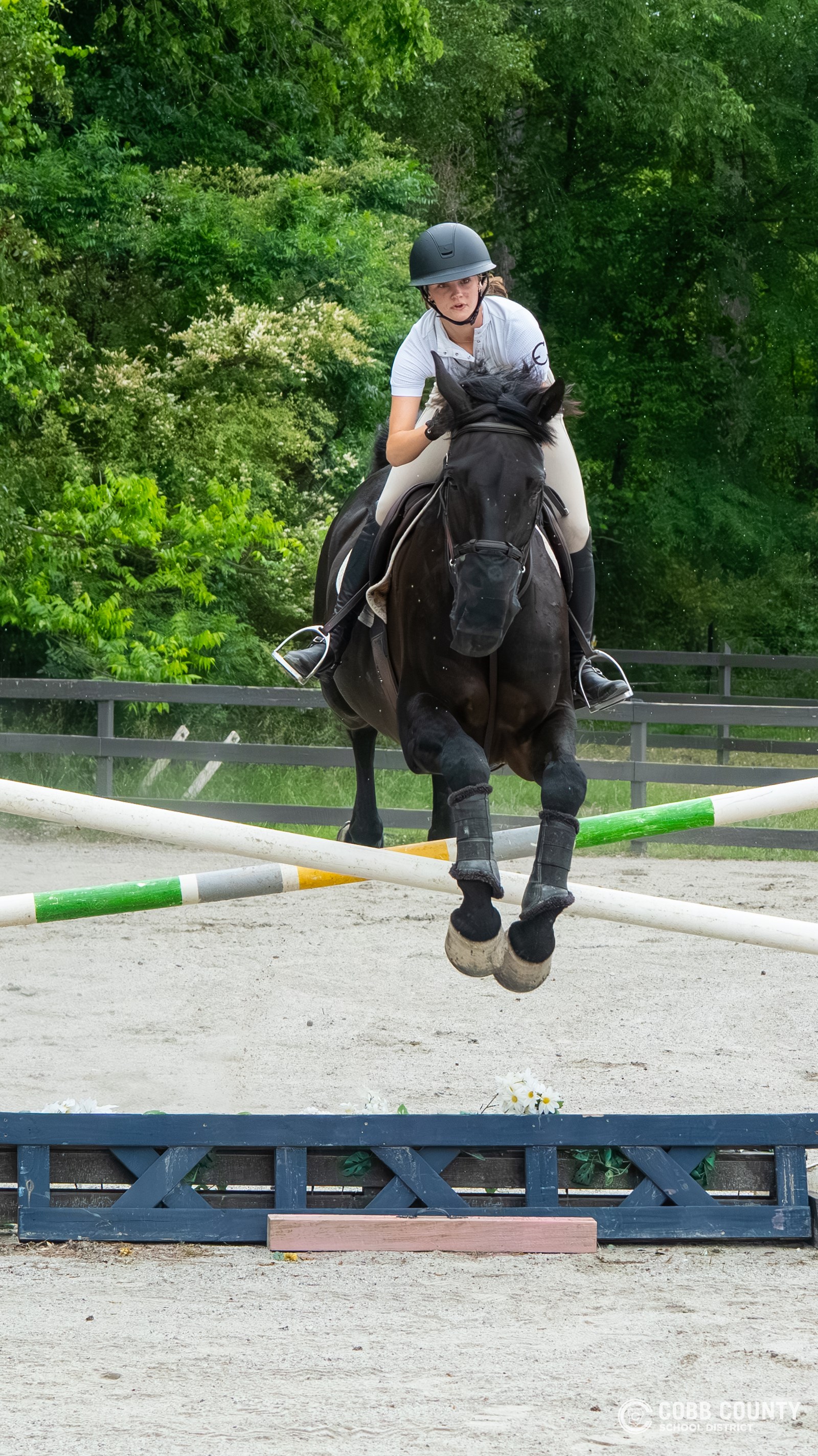 Anna and Boo clear