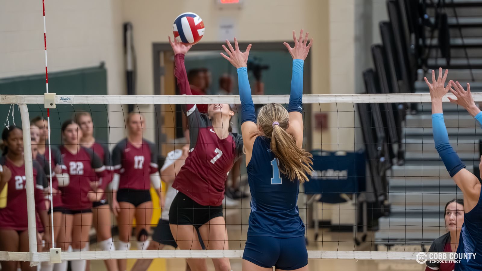 Pope's Lynden Harvey rises for the block