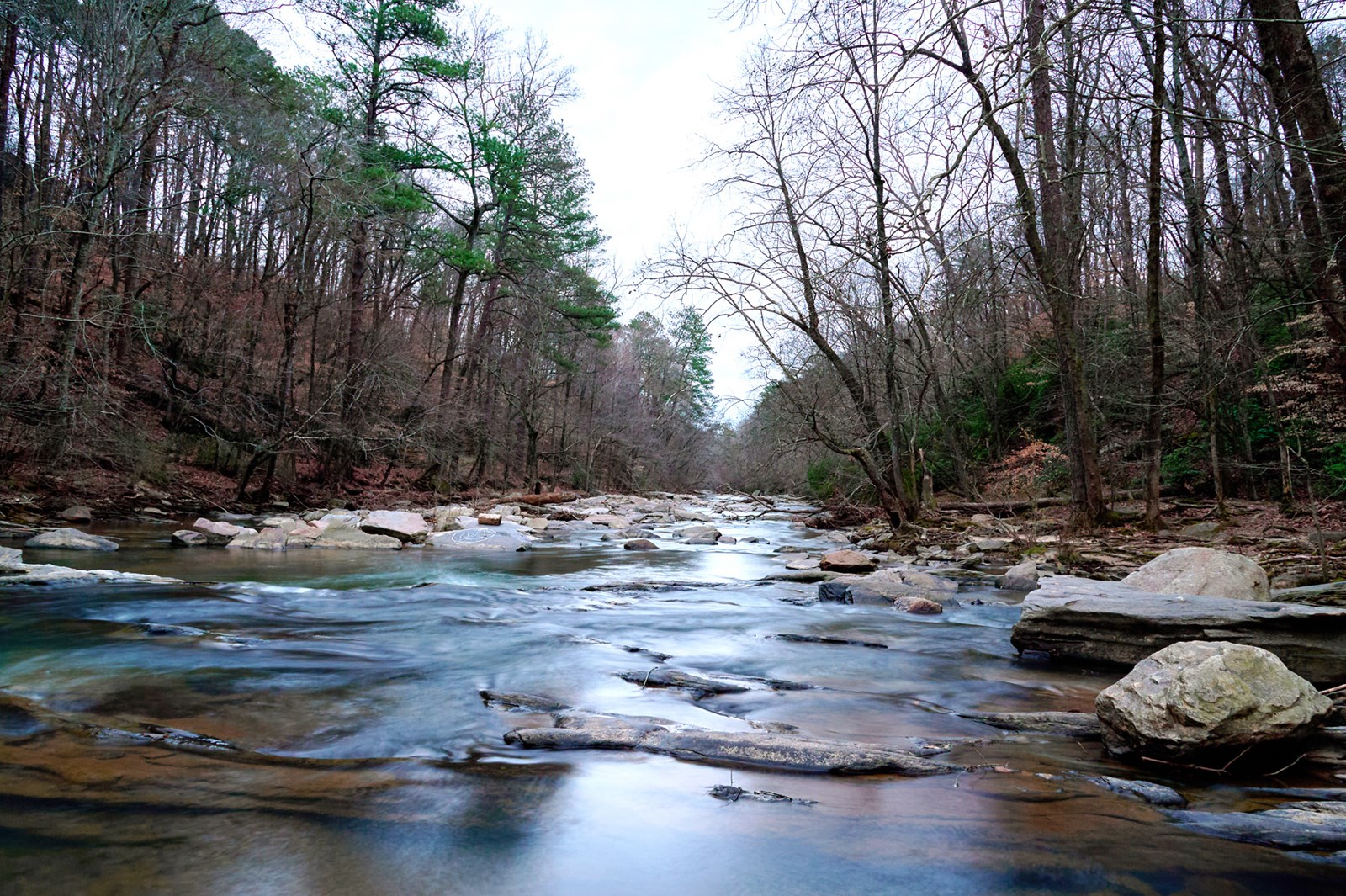 Cobb Water Photography Contest Winner