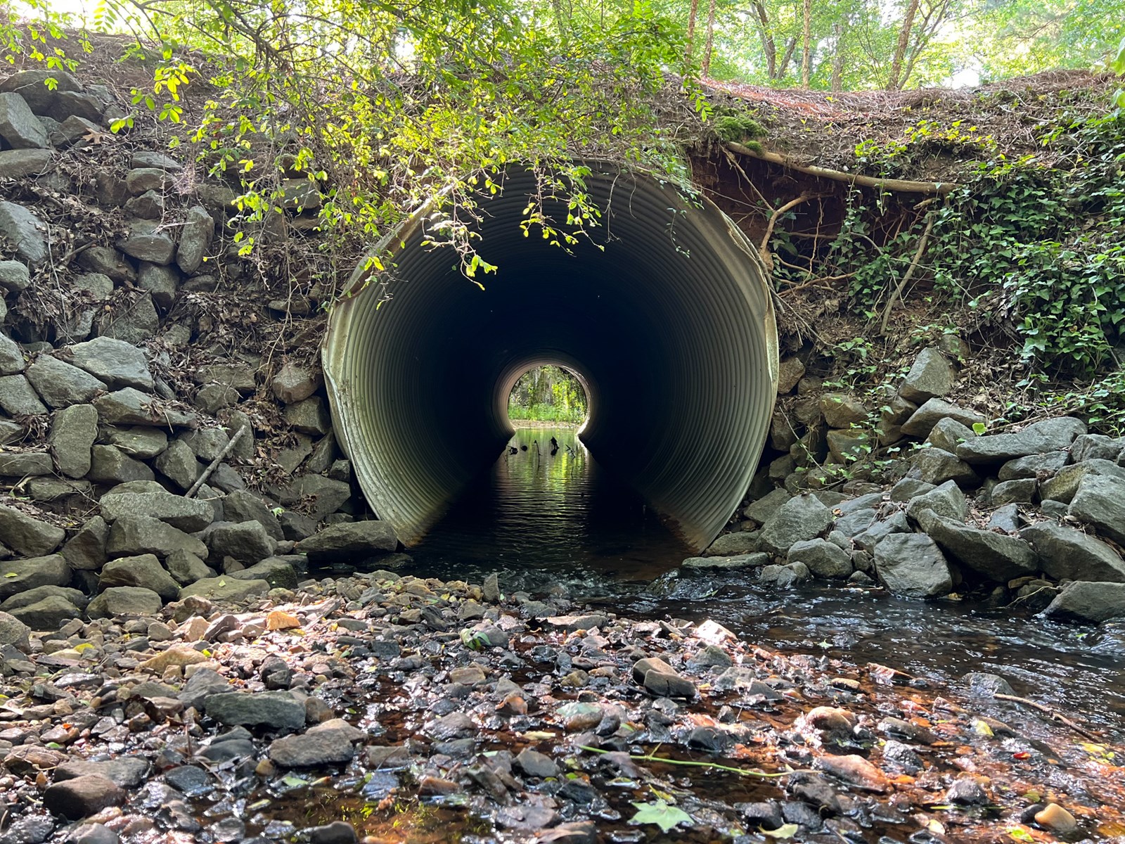 Cobb Water Photography Contest Winner