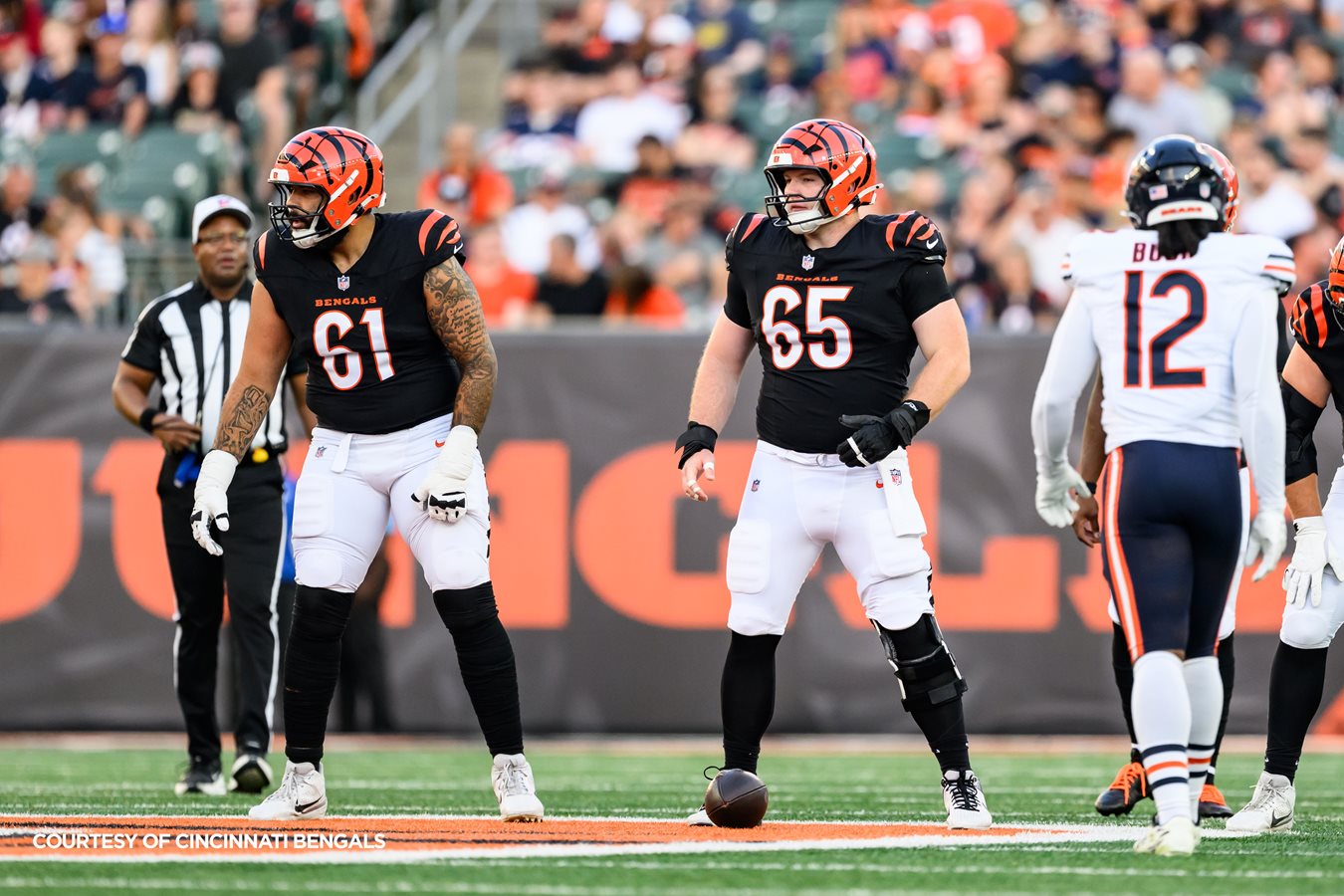 Connor Lew Cincinnati Bengals