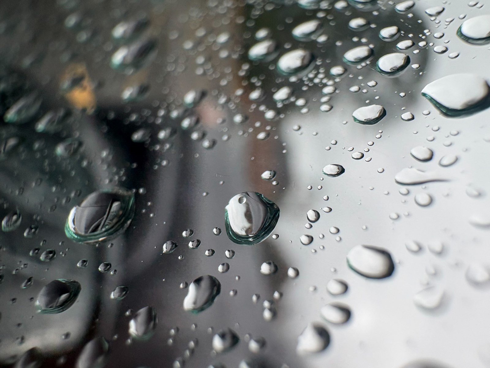 Cobb Water Photography Contest Winner