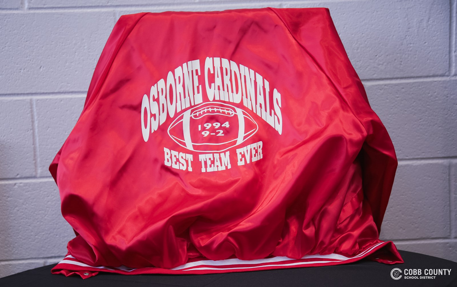 1994 Cardinal Football Team