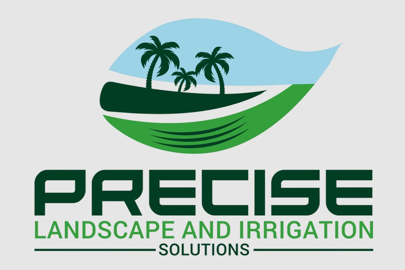 precise-landscape-lgo.bd9e0f140322.jpg