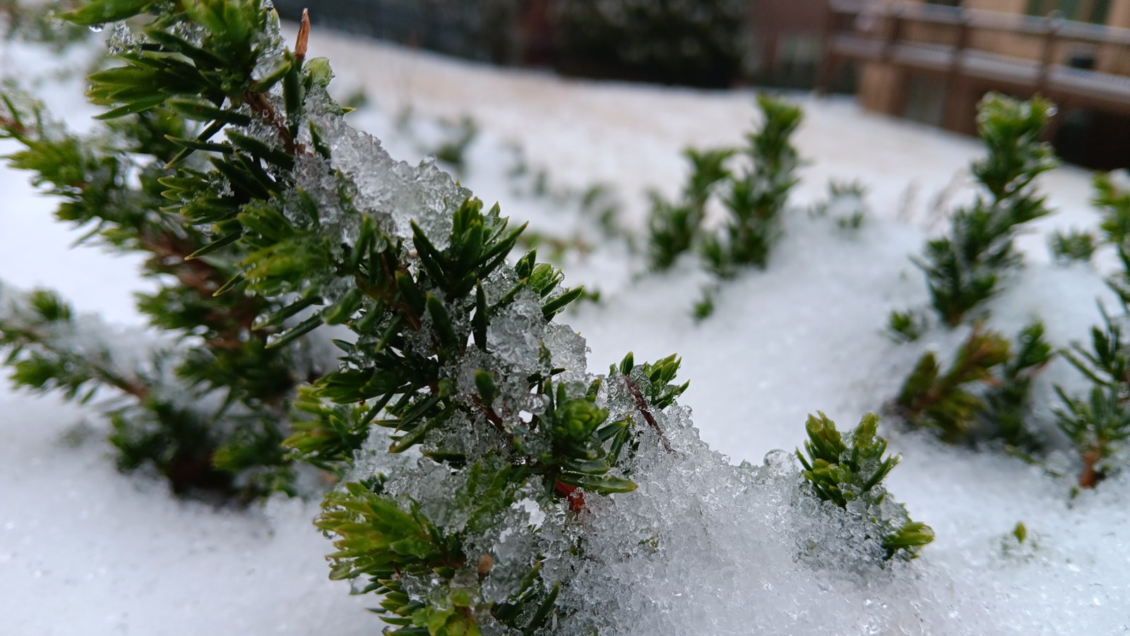 Cobb Water Photography Contest Winner