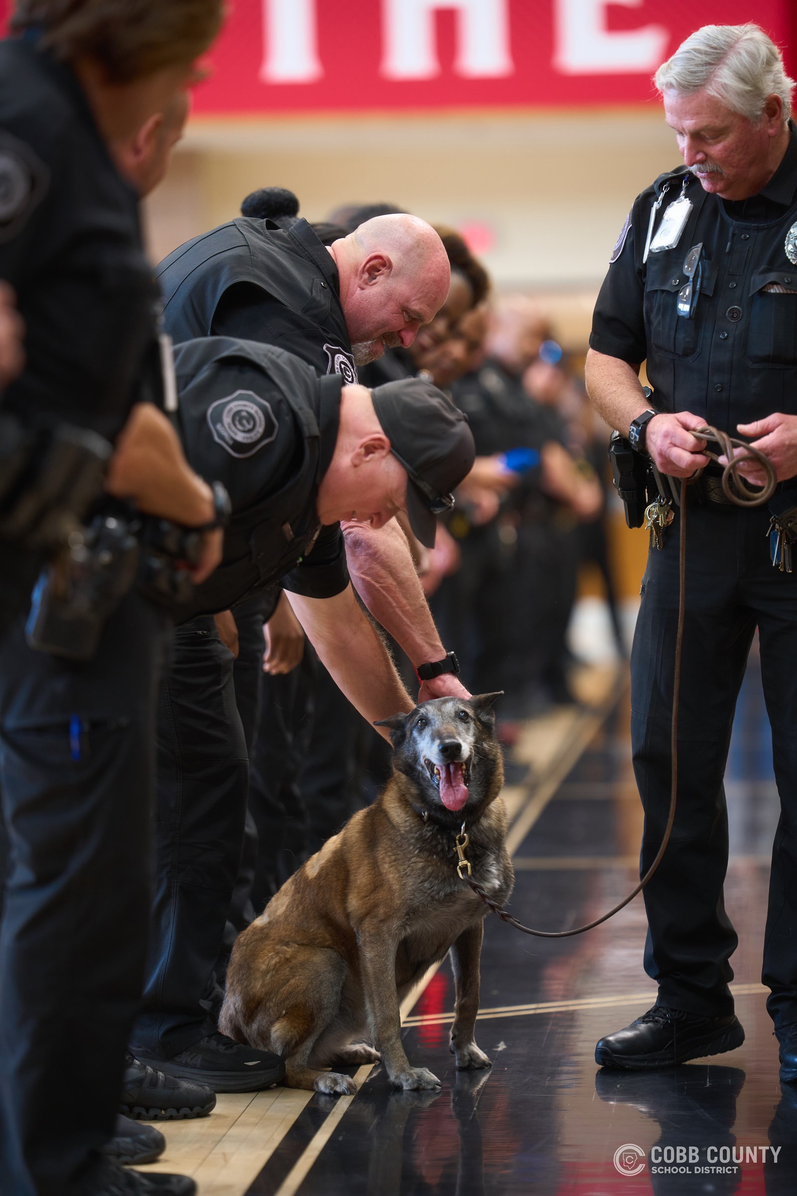 K-9 Sadie, a narcotics detection dog with the Cobb County School District Police Department, is honored during her retirement celebration after 11 years of service supporting school safety across Cobb Schools.