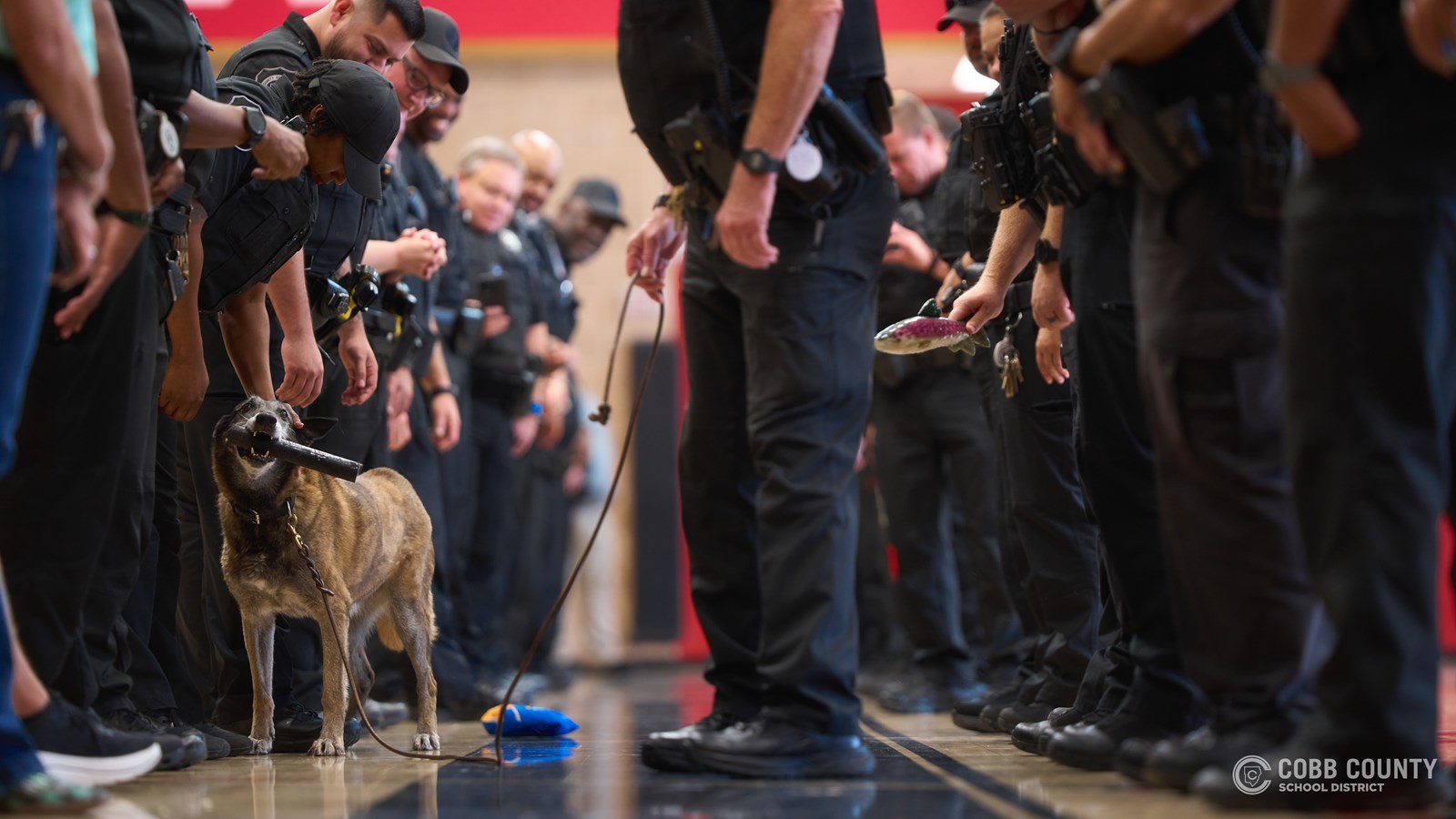 K-9 Sadie, a narcotics detection dog with the Cobb County School District Police Department, is honored during her retirement celebration after 11 years of service supporting school safety across Cobb Schools.