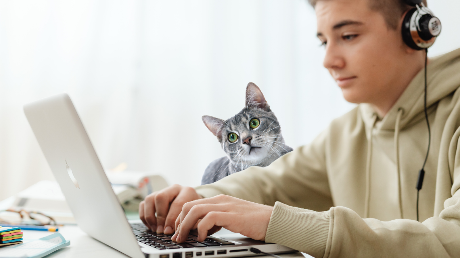 Teen wearing headphones and working on a laptop at a desk while a gray cat looks toward the camera from beside the computer.