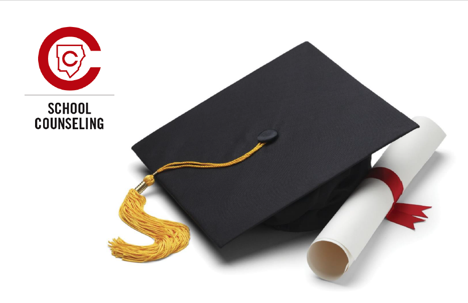 School Counseling Graduation Cap