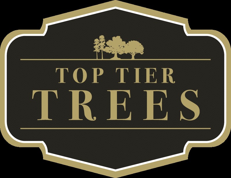 TopTierTreesLogo.jpeg