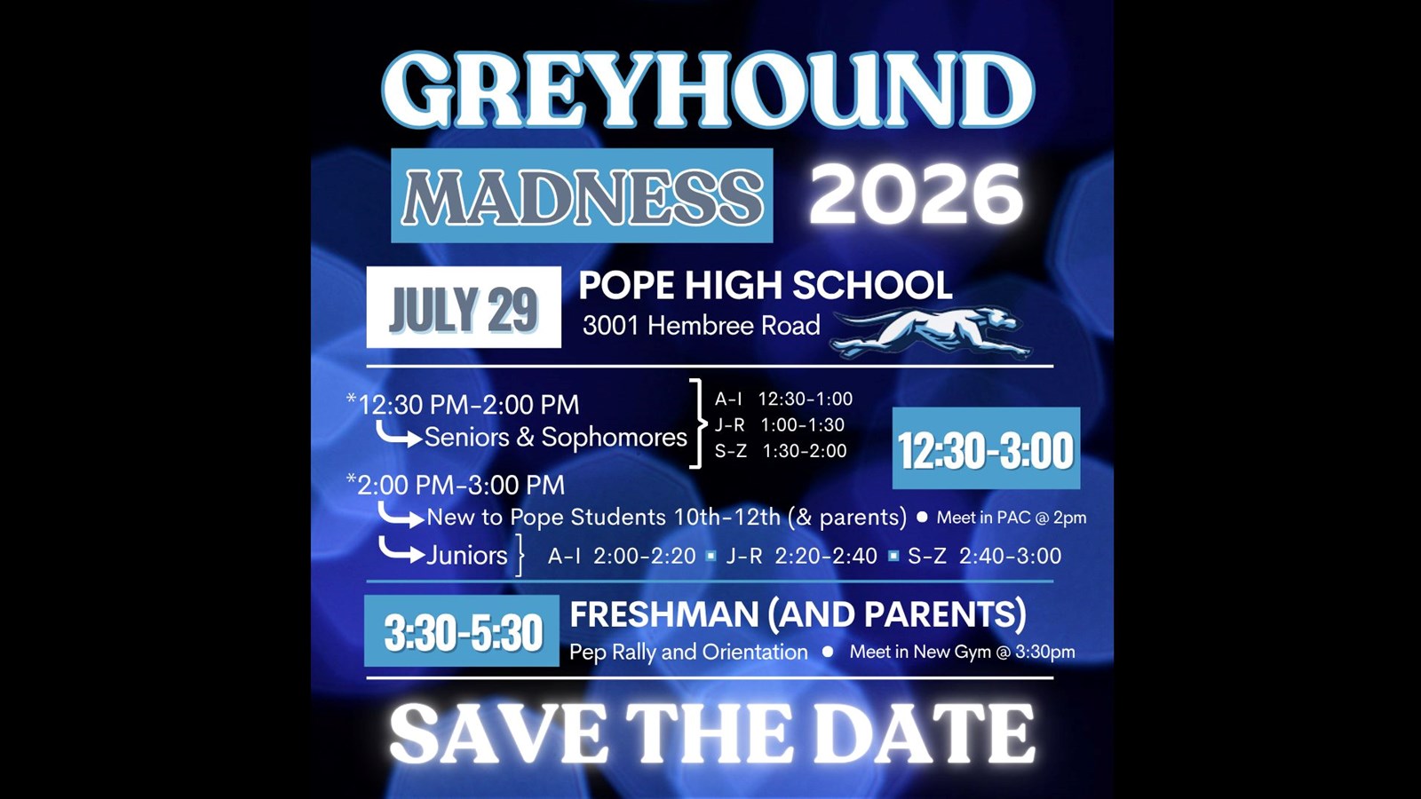 greyhound madness