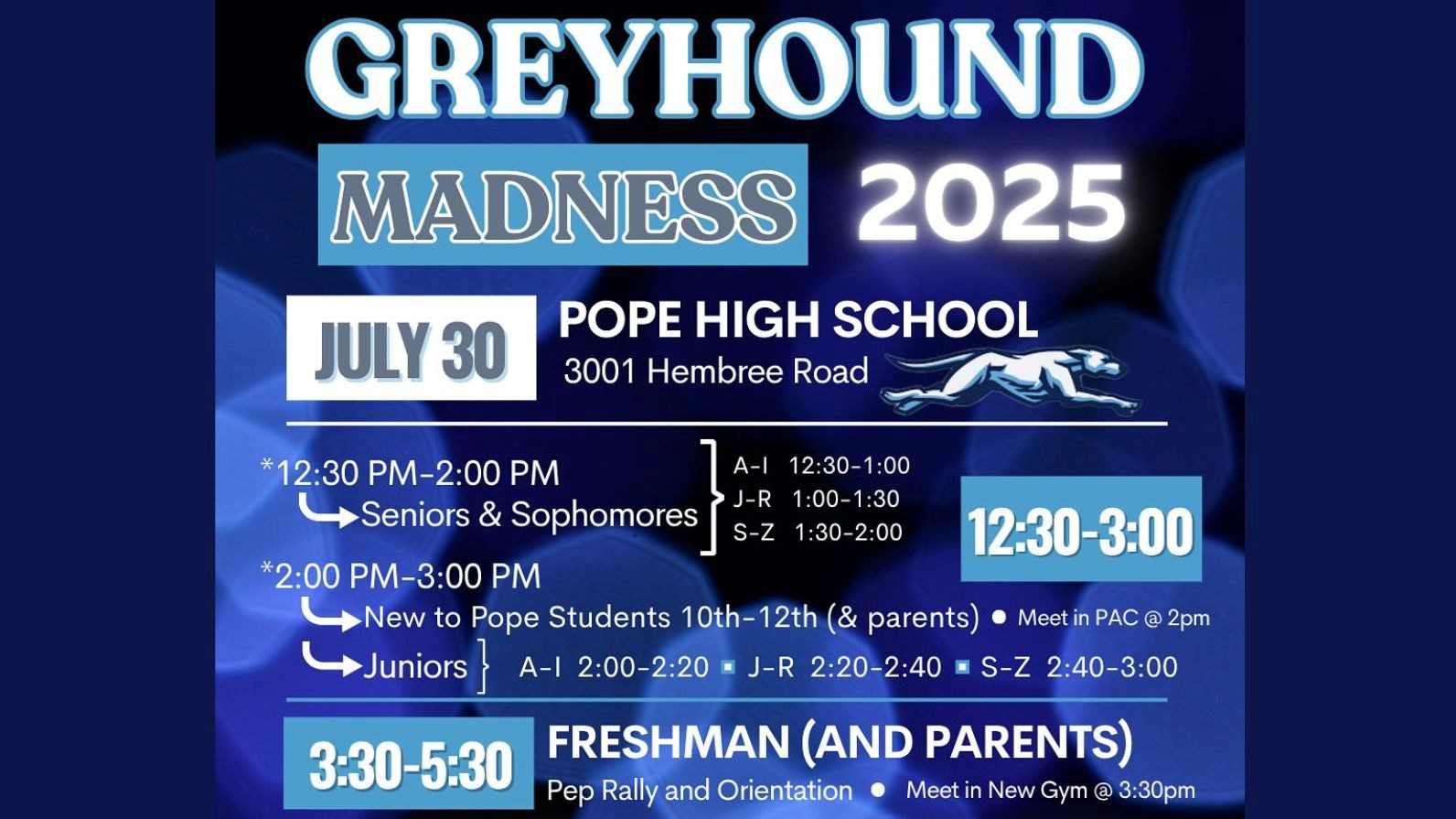 greyhound madness