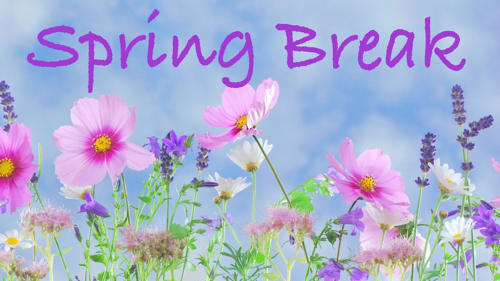 Spring Break in purple letters with pink, purple and white flowers against a blue sky