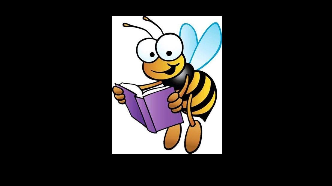 Book Fair Bee2