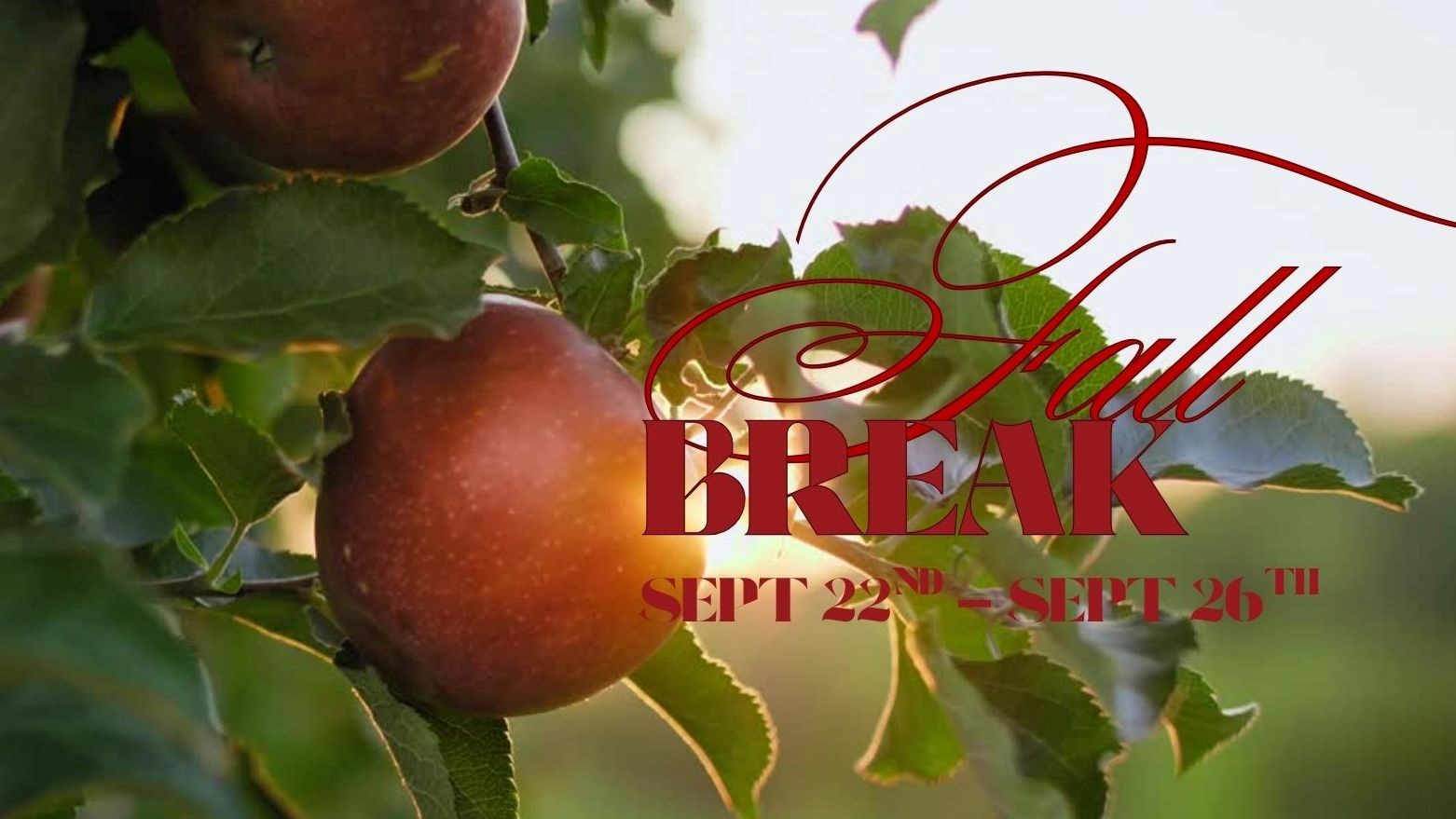 apple orchard with the words Fall Break Sept 22nd - Sept 26th