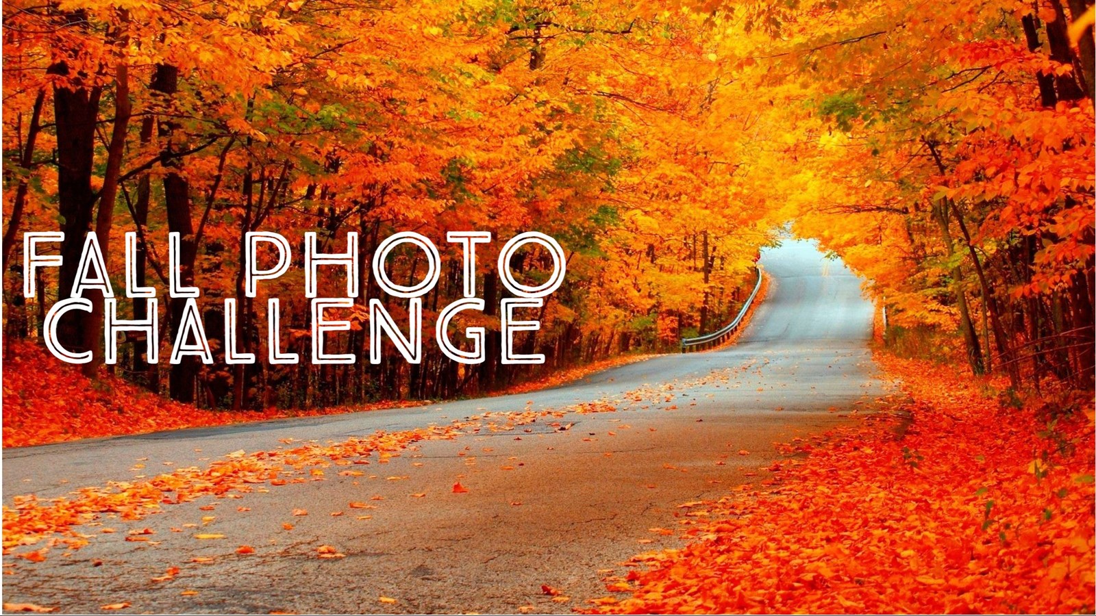 Fall Photo Challenge