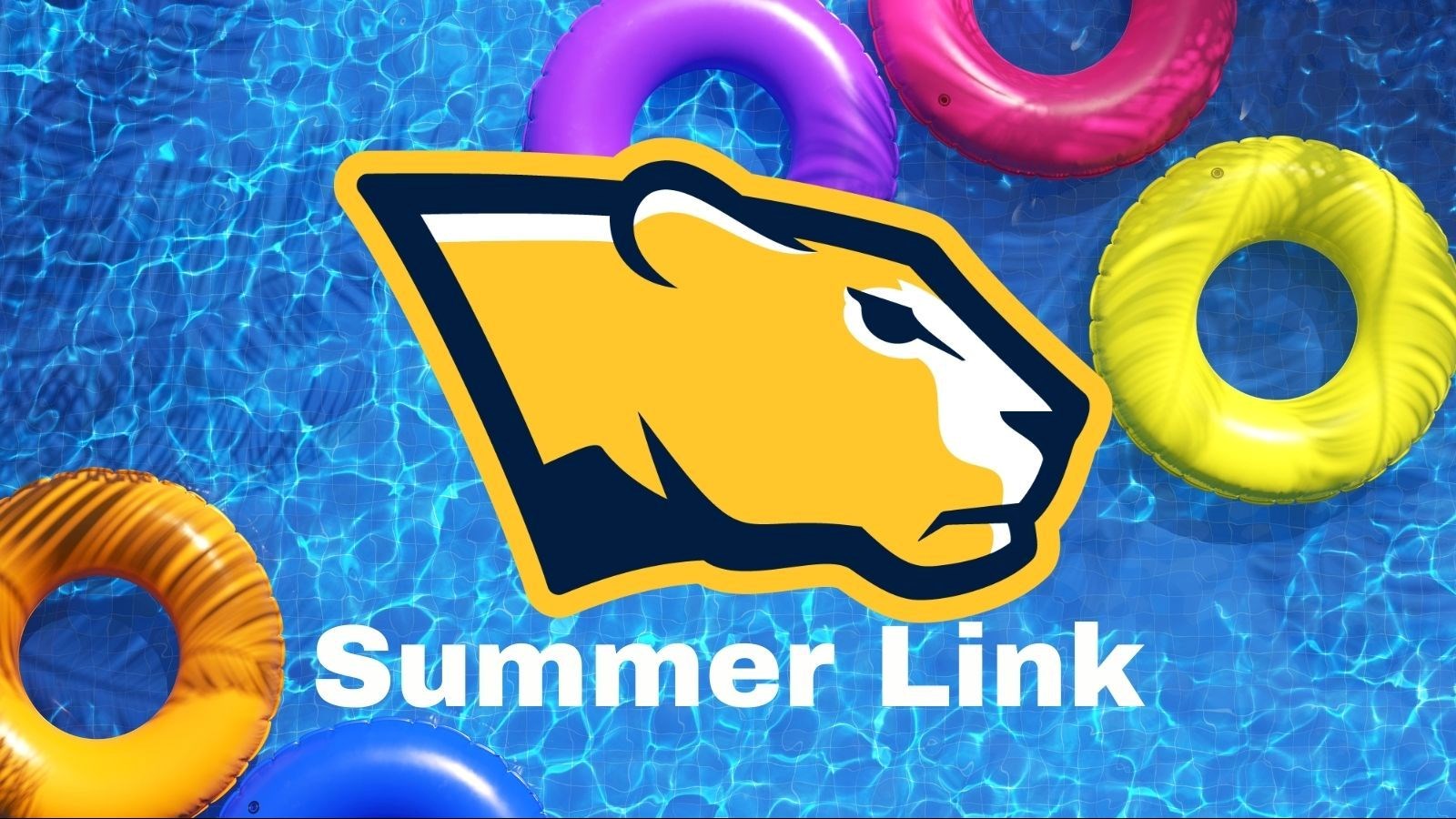 Summer Link