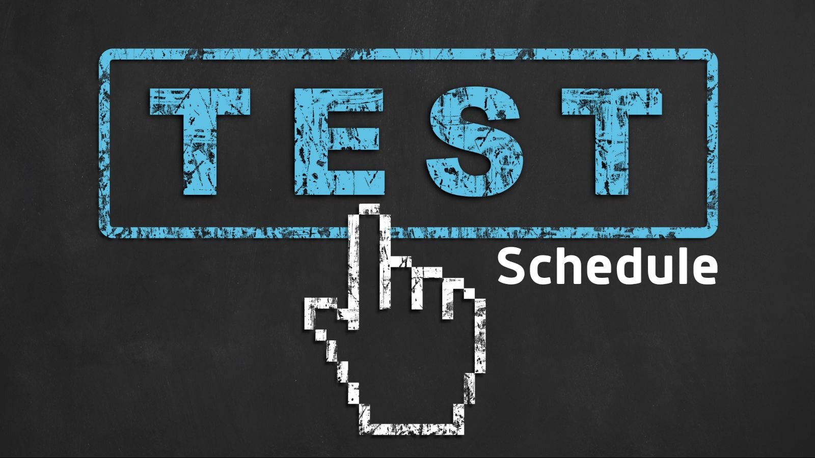 Test Schedule