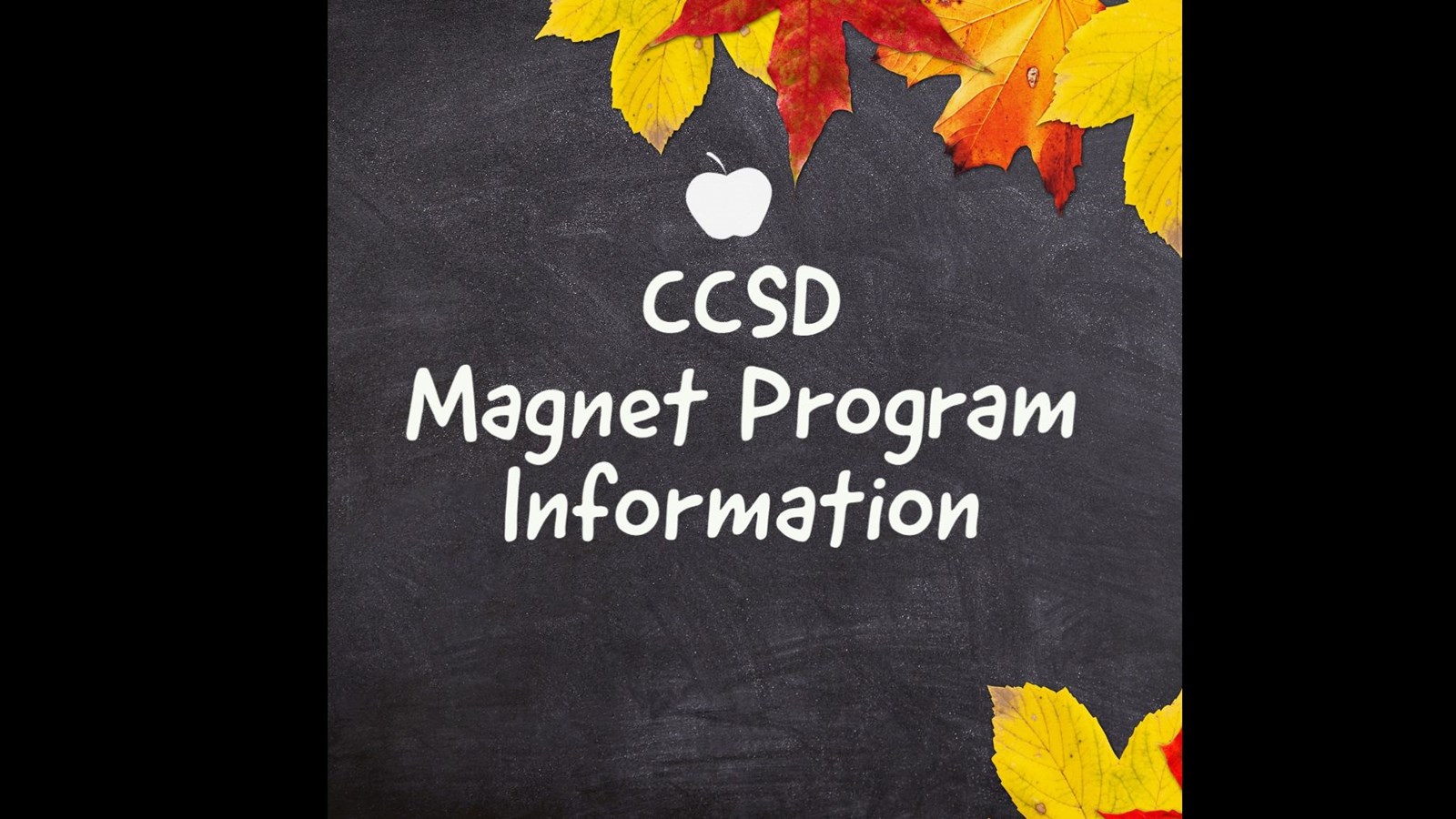 ccsd magnet information