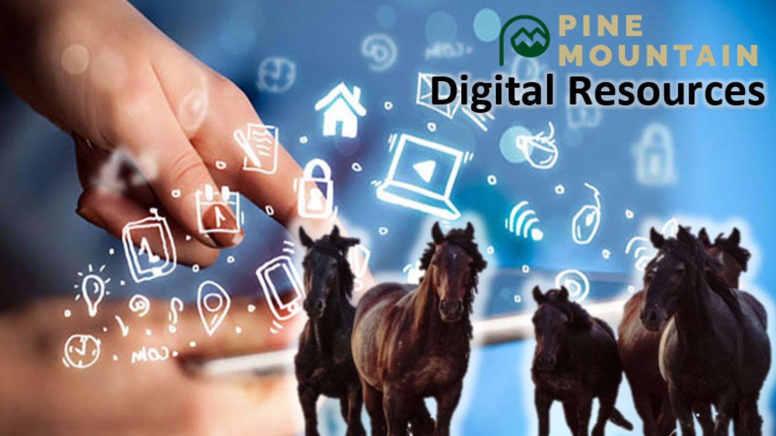 Digital Learning Support