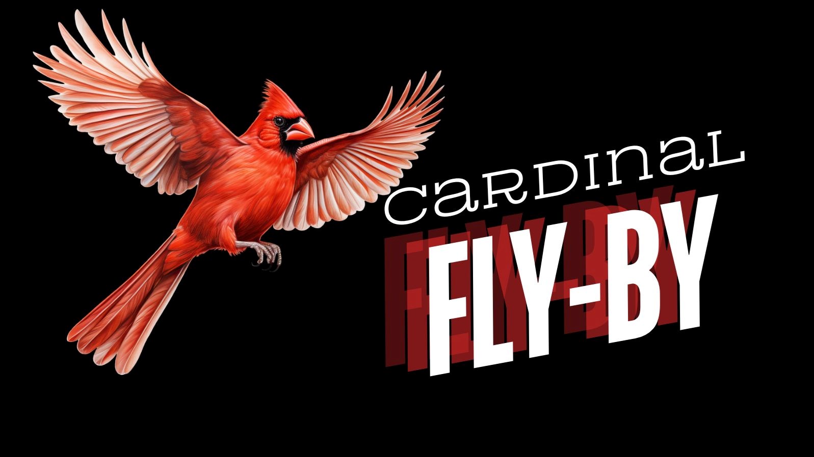 Image: red cardinal landing with wings spread. Text: Cardinal Fly-By