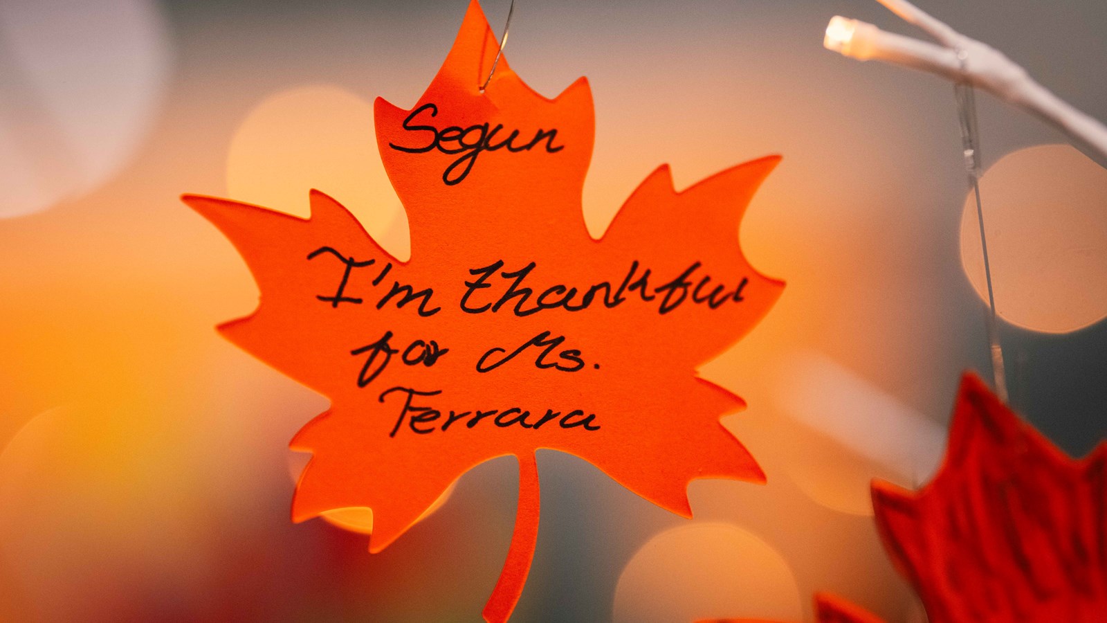 Season of Giving: Cobb Schools Show Thankfulness 