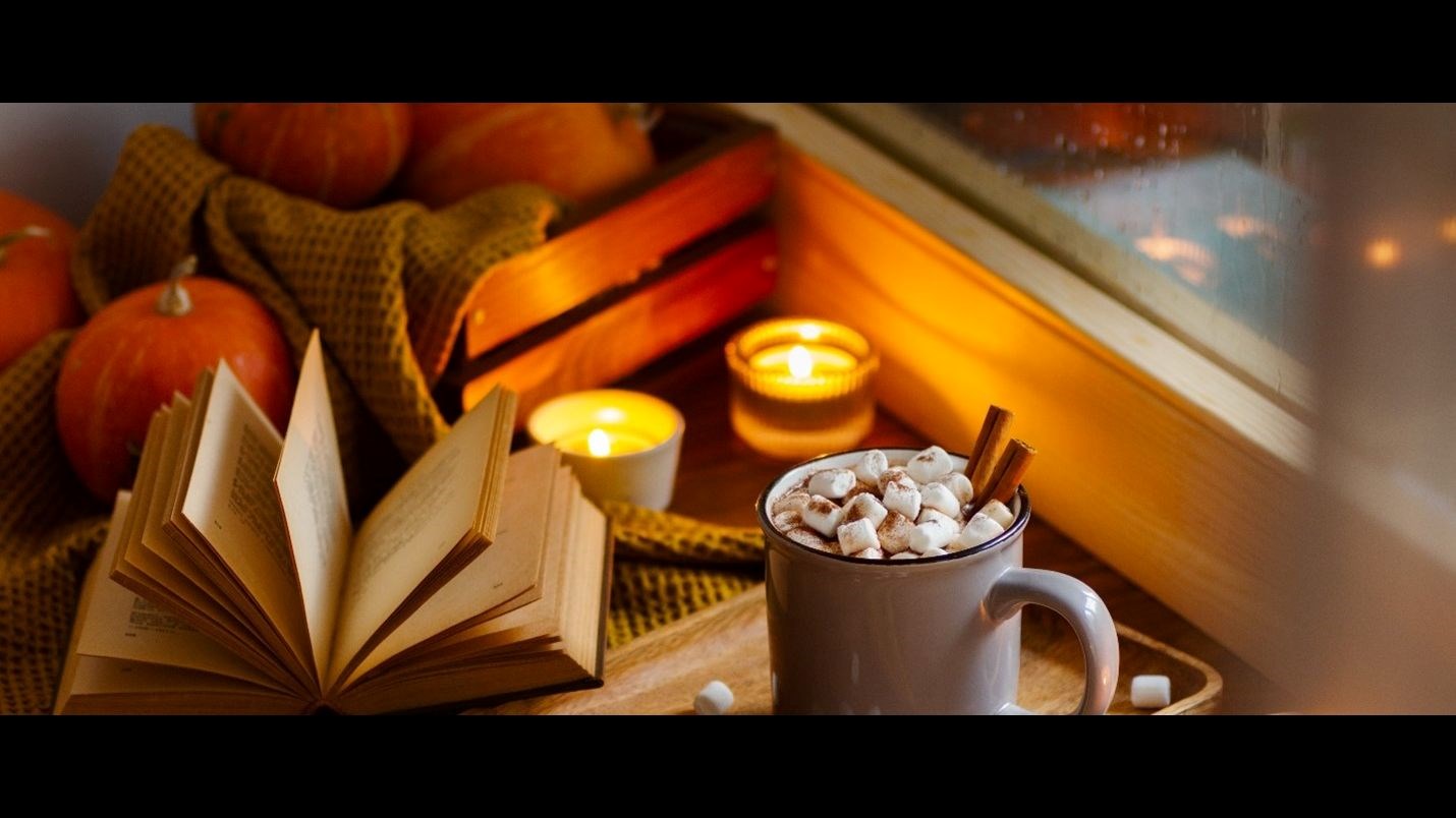 Spotlight - Pumpkin Spice Everything